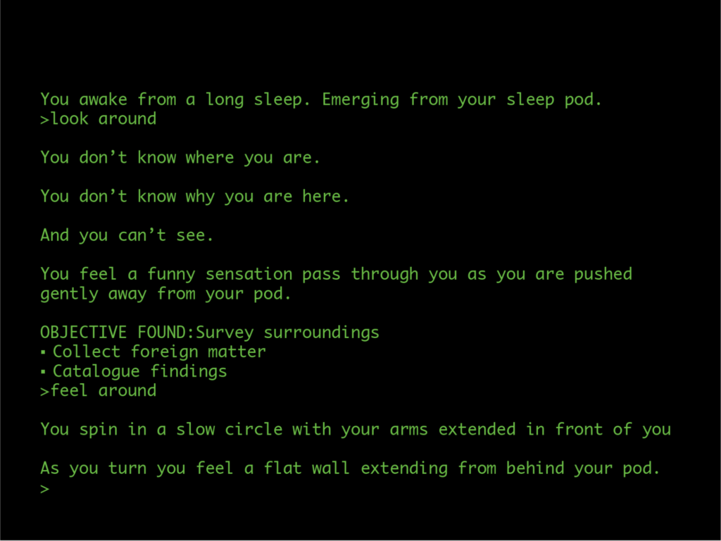 Screenshot of part 1 gameplay. Shows text that introduces the player to the game, explaining that they have just awoken from a sleep pod and have no memories.