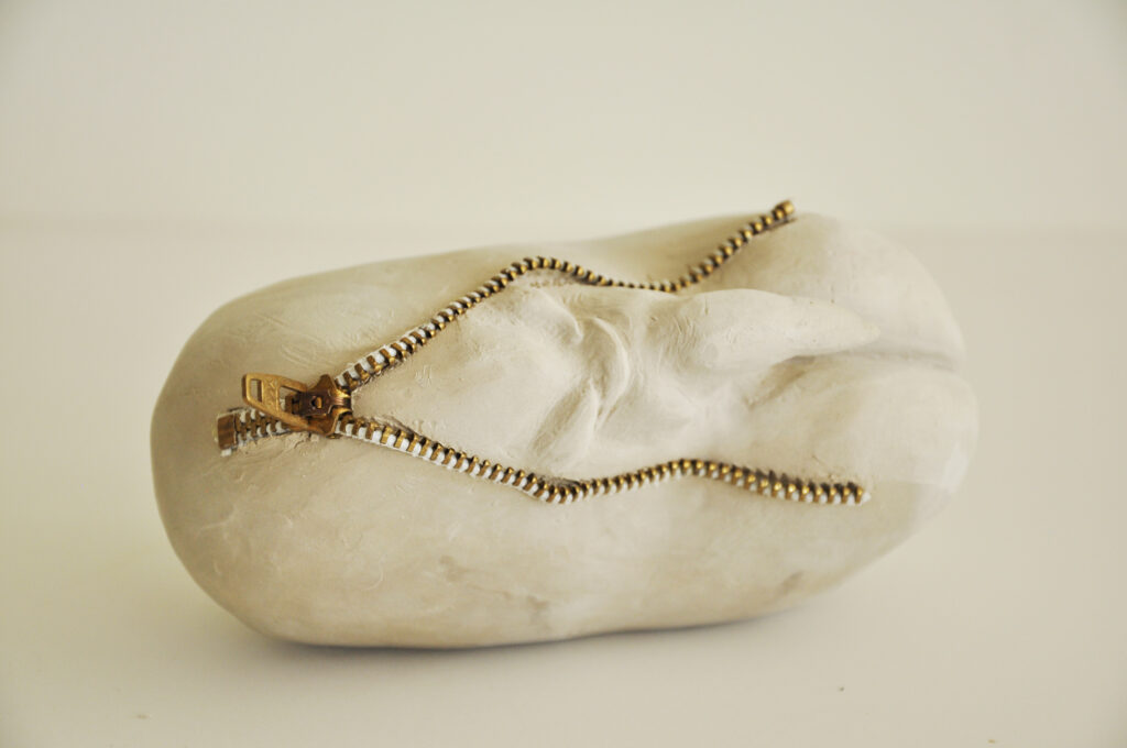 sculpture from porcelain greenware of a bean seed with a metal zipper opening to allow the sprout out