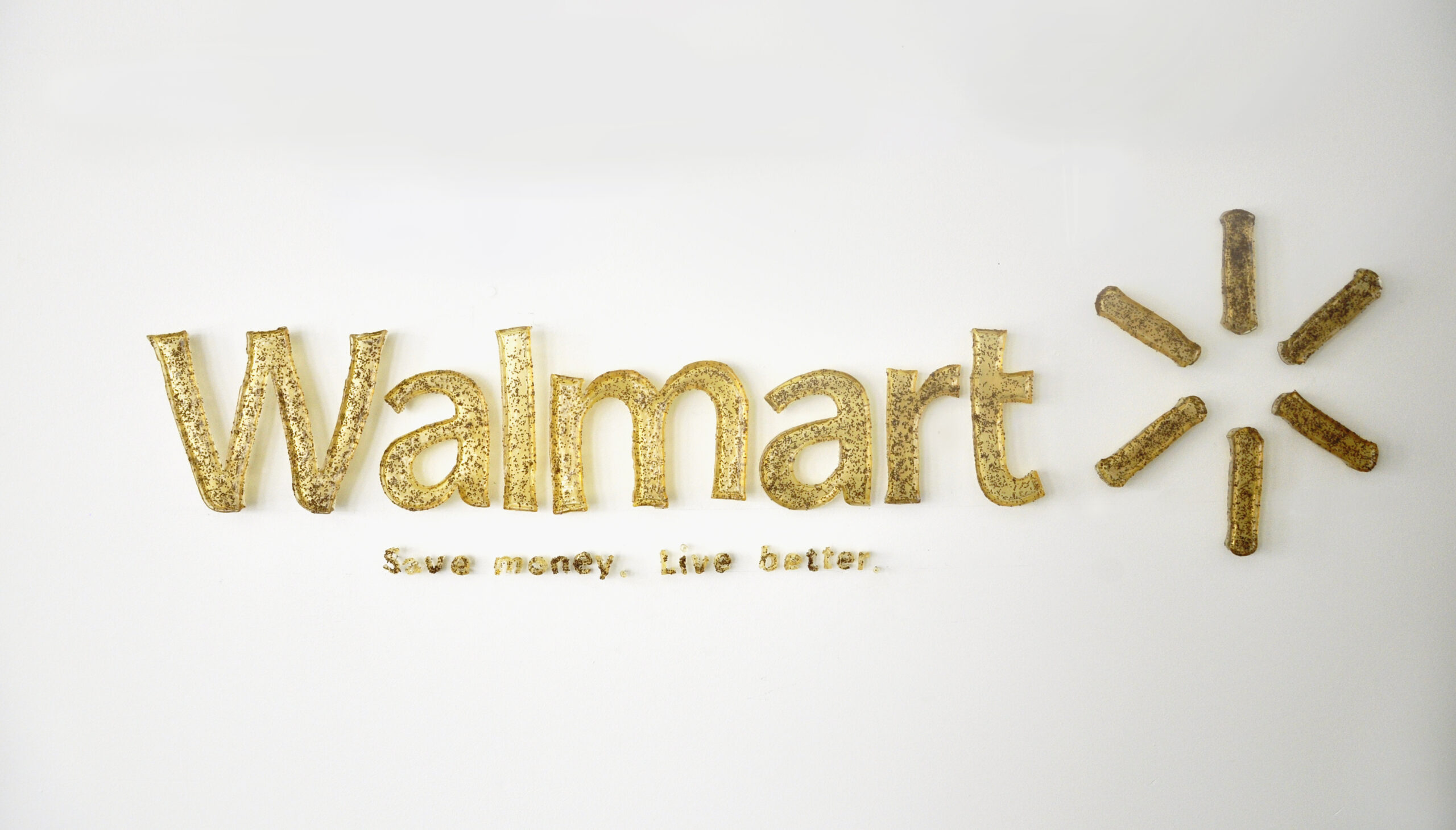Sculpture mounted on a wall in the form of the Walmart Logo including a starburst beside and the words Save money. Live Better. below in small letters. Created out of dried gelatin imbedded with Gypsy moth eggs