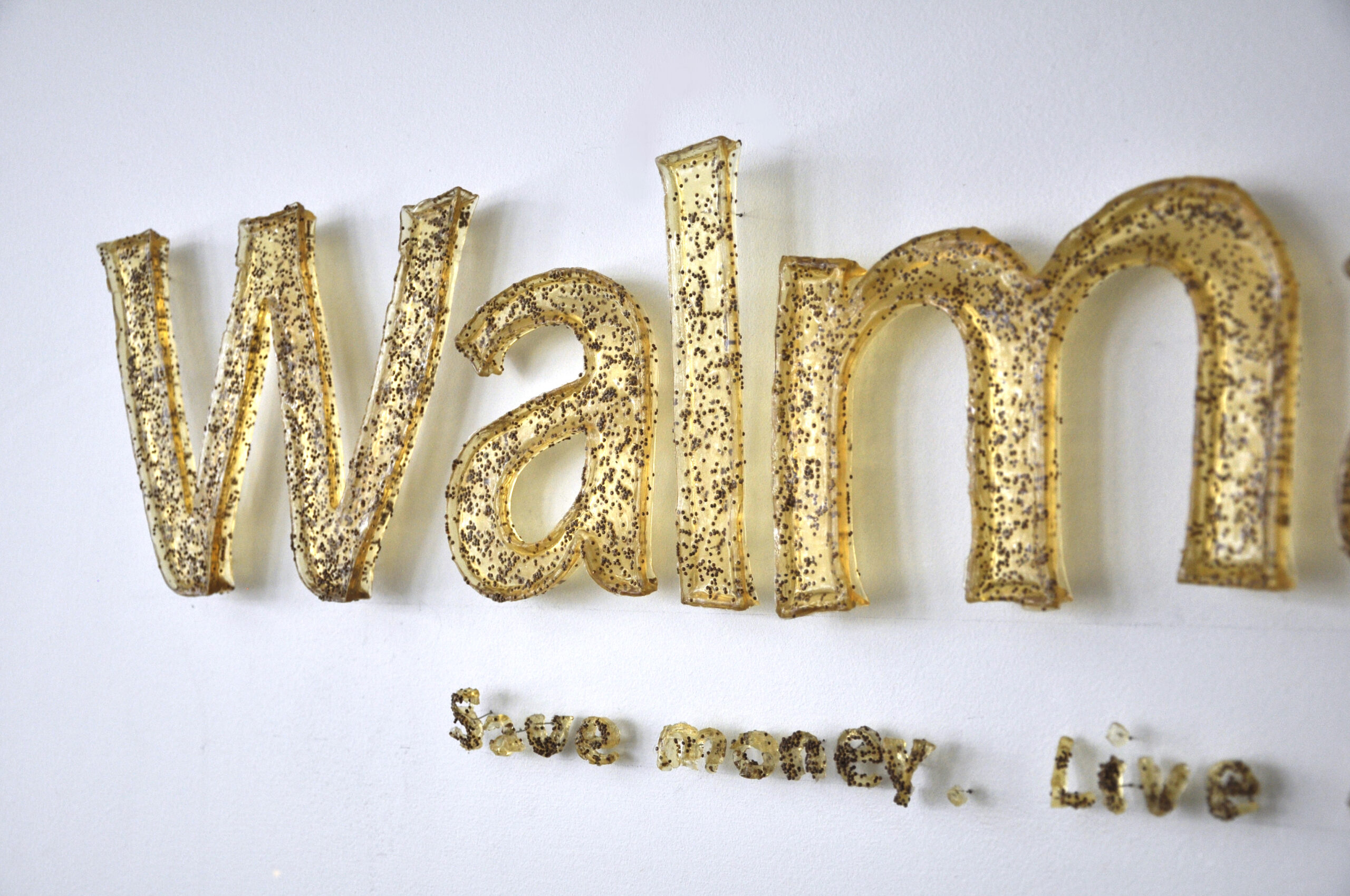 a Detail of Sculpture mounted on a wall in the form of the Walmart Logo including a starburst beside and the words Save money. Live Better. below in small letters. Created out of dried gelatin imbedded with Gypsy moth eggs